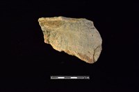 藏品(陶罐)的圖片